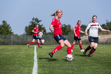 Bild 377 - Oberliga Saisonstart